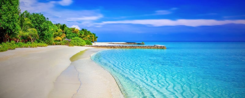 Tropical Paradises